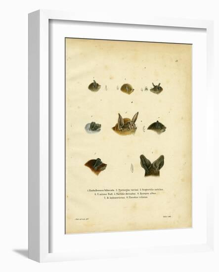 Bat Heads-null-Framed Giclee Print