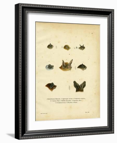 Bat Heads-null-Framed Giclee Print