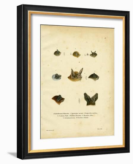 Bat Heads-null-Framed Giclee Print