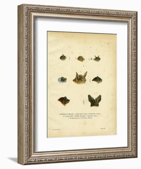 Bat Heads--Framed Giclee Print