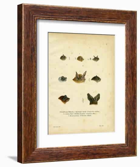 Bat Heads-null-Framed Giclee Print