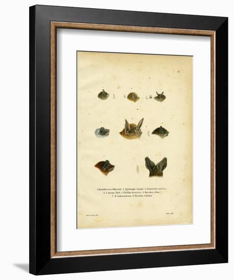 Bat Heads-null-Framed Giclee Print