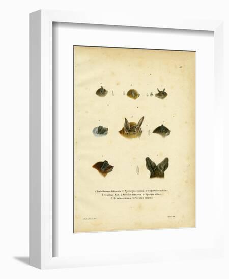 Bat Heads-null-Framed Giclee Print