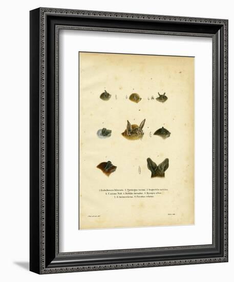 Bat Heads-null-Framed Giclee Print