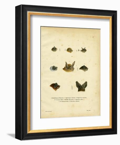 Bat Heads-null-Framed Giclee Print