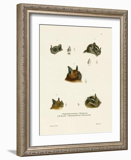 Bat Heads-null-Framed Giclee Print