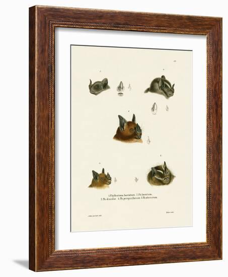 Bat Heads-null-Framed Giclee Print