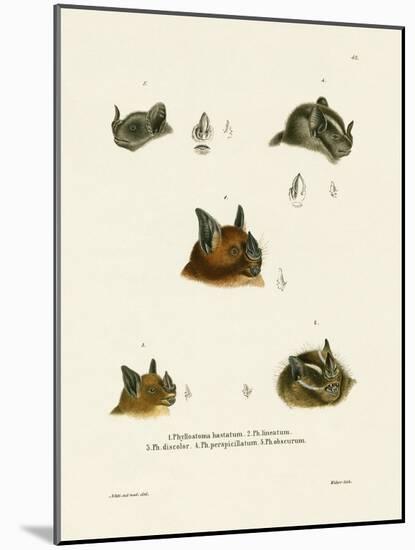 Bat Heads-null-Mounted Giclee Print