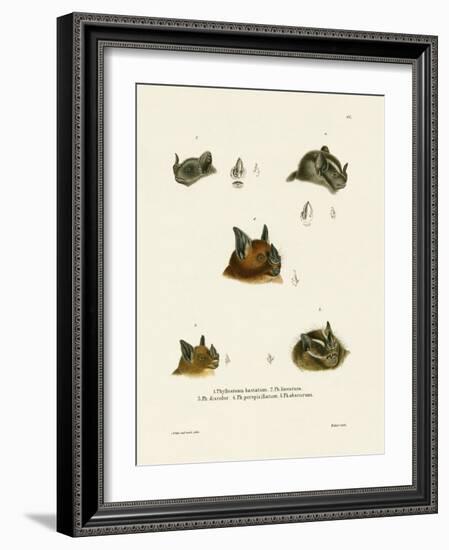 Bat Heads-null-Framed Giclee Print