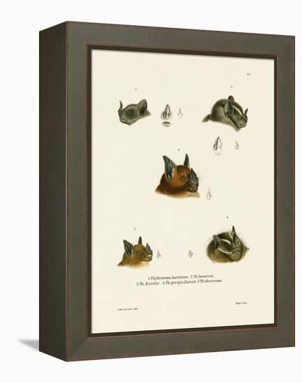 Bat Heads-null-Framed Premier Image Canvas