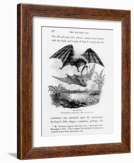 Bat-Lizards-null-Framed Giclee Print