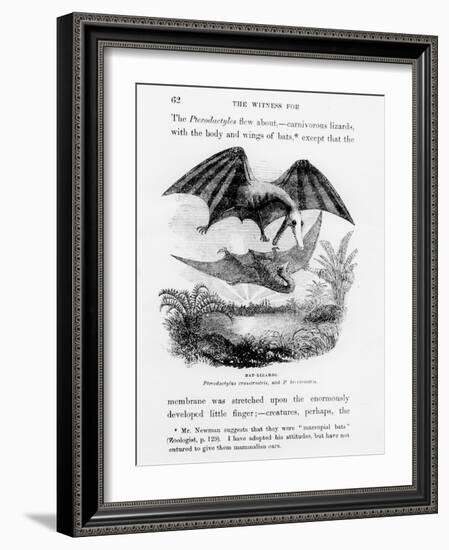 Bat-Lizards-null-Framed Giclee Print