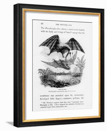 Bat-Lizards-null-Framed Giclee Print