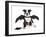 Bat Puppy Boston Terrier-cynoclub-Framed Photographic Print