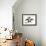 Bat Puppy Boston Terrier-cynoclub-Framed Photographic Print displayed on a wall