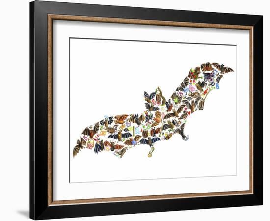 Bat-Louise Tate-Framed Giclee Print