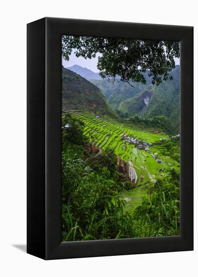 Batad Rice Terraces, Banaue, Luzon, Philippines-Michael Runkel-Framed Premier Image Canvas