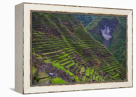 Batad Rice Terraces, Banaue, Luzon, Philippines-Michael Runkel-Framed Premier Image Canvas