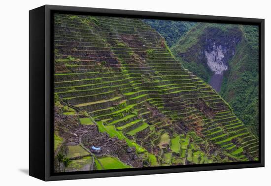 Batad Rice Terraces, Banaue, Luzon, Philippines-Michael Runkel-Framed Premier Image Canvas