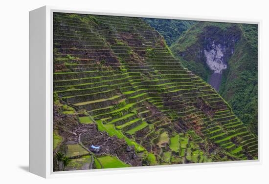 Batad Rice Terraces, Banaue, Luzon, Philippines-Michael Runkel-Framed Premier Image Canvas