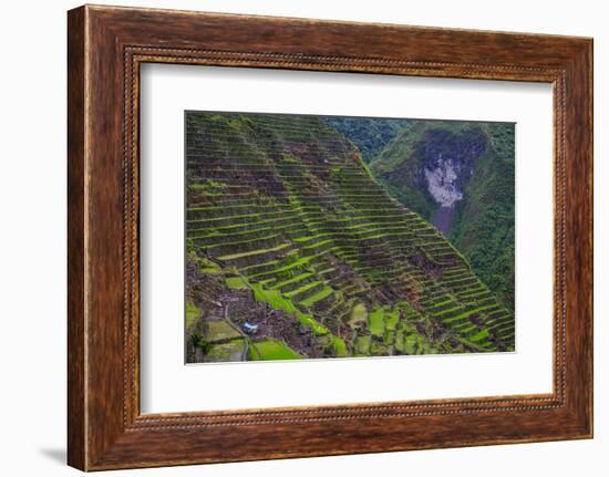 Batad Rice Terraces, Banaue, Luzon, Philippines-Michael Runkel-Framed Photographic Print