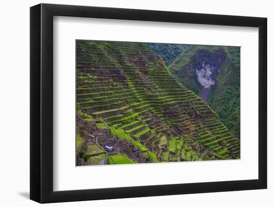 Batad Rice Terraces, Banaue, Luzon, Philippines-Michael Runkel-Framed Photographic Print