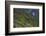 Batad Rice Terraces, Banaue, Luzon, Philippines-Michael Runkel-Framed Photographic Print