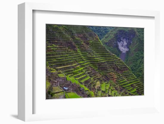 Batad Rice Terraces, Banaue, Luzon, Philippines-Michael Runkel-Framed Photographic Print