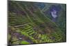 Batad Rice Terraces, Banaue, Luzon, Philippines-Michael Runkel-Mounted Photographic Print