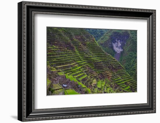 Batad Rice Terraces, Banaue, Luzon, Philippines-Michael Runkel-Framed Photographic Print