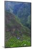 Batad Rice Terraces, Banaue, Luzon, Philippines-Michael Runkel-Mounted Photographic Print