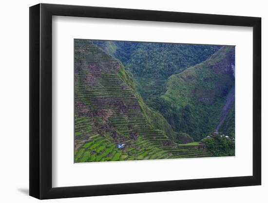 Batad Rice Terraces, Banaue, Luzon, Philippines-Michael Runkel-Framed Photographic Print