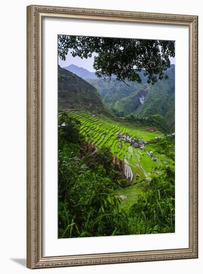 Batad Rice Terraces, Banaue, Luzon, Philippines-Michael Runkel-Framed Photographic Print