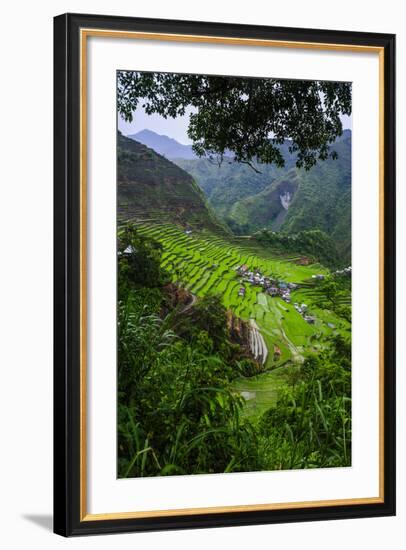 Batad Rice Terraces, Banaue, Luzon, Philippines-Michael Runkel-Framed Photographic Print