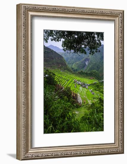 Batad Rice Terraces, Banaue, Luzon, Philippines-Michael Runkel-Framed Photographic Print