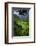 Batad Rice Terraces, Banaue, Luzon, Philippines-Michael Runkel-Framed Photographic Print