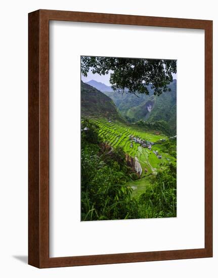 Batad Rice Terraces, Banaue, Luzon, Philippines-Michael Runkel-Framed Photographic Print