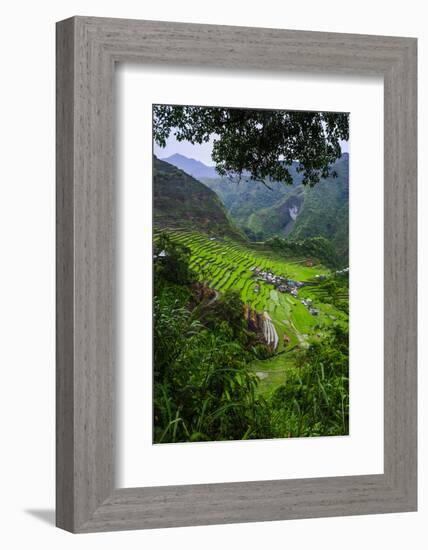 Batad Rice Terraces, Banaue, Luzon, Philippines-Michael Runkel-Framed Photographic Print