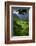 Batad Rice Terraces, Banaue, Luzon, Philippines-Michael Runkel-Framed Photographic Print