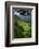 Batad Rice Terraces, Banaue, Luzon, Philippines-Michael Runkel-Framed Photographic Print