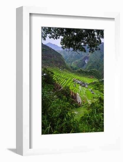 Batad Rice Terraces, Banaue, Luzon, Philippines-Michael Runkel-Framed Photographic Print