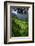 Batad Rice Terraces, Banaue, Luzon, Philippines-Michael Runkel-Framed Photographic Print