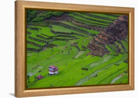 Batad Rice Terraces, World Heritage Site, Banaue, Luzon, Philippines-Michael Runkel-Framed Premier Image Canvas