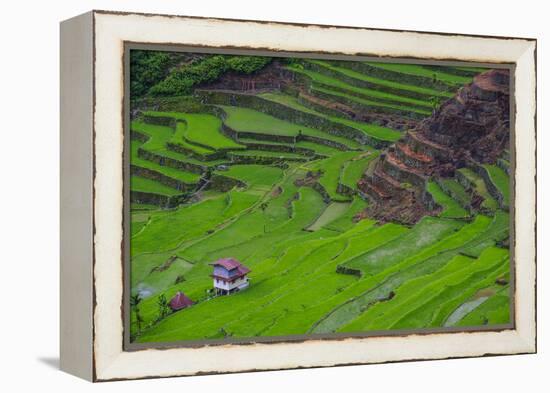 Batad Rice Terraces, World Heritage Site, Banaue, Luzon, Philippines-Michael Runkel-Framed Premier Image Canvas