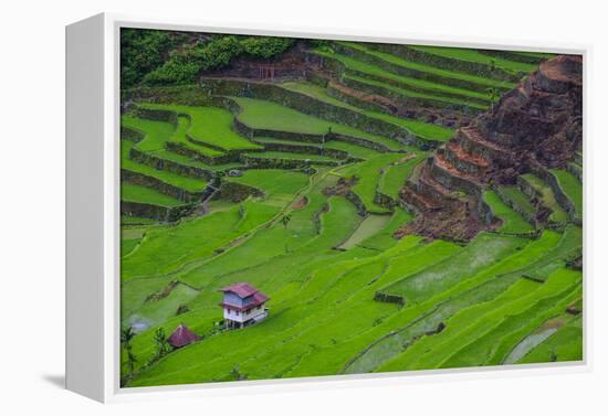 Batad Rice Terraces, World Heritage Site, Banaue, Luzon, Philippines-Michael Runkel-Framed Premier Image Canvas