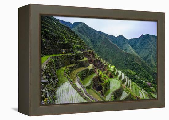 Batad Rice Terraces, World Heritage Site, Banaue, Luzon, Philippines-Michael Runkel-Framed Premier Image Canvas