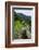 Batad Rice Terraces, World Heritage Site, Banaue, Luzon, Philippines-Michael Runkel-Framed Photographic Print