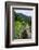 Batad Rice Terraces, World Heritage Site, Banaue, Luzon, Philippines-Michael Runkel-Framed Photographic Print