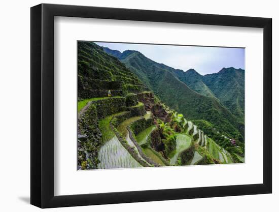 Batad Rice Terraces, World Heritage Site, Banaue, Luzon, Philippines-Michael Runkel-Framed Photographic Print