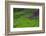 Batad Rice Terraces, World Heritage Site, Banaue, Luzon, Philippines-Michael Runkel-Framed Photographic Print